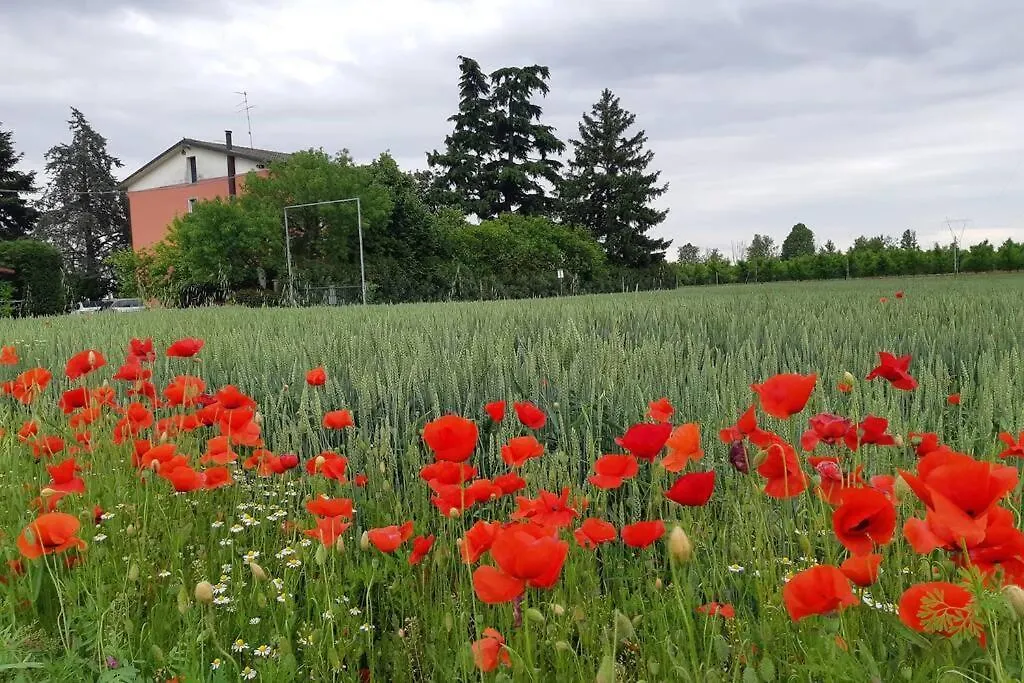 La Tavernetta Di Antonietta Villafranca di Verona İtalya